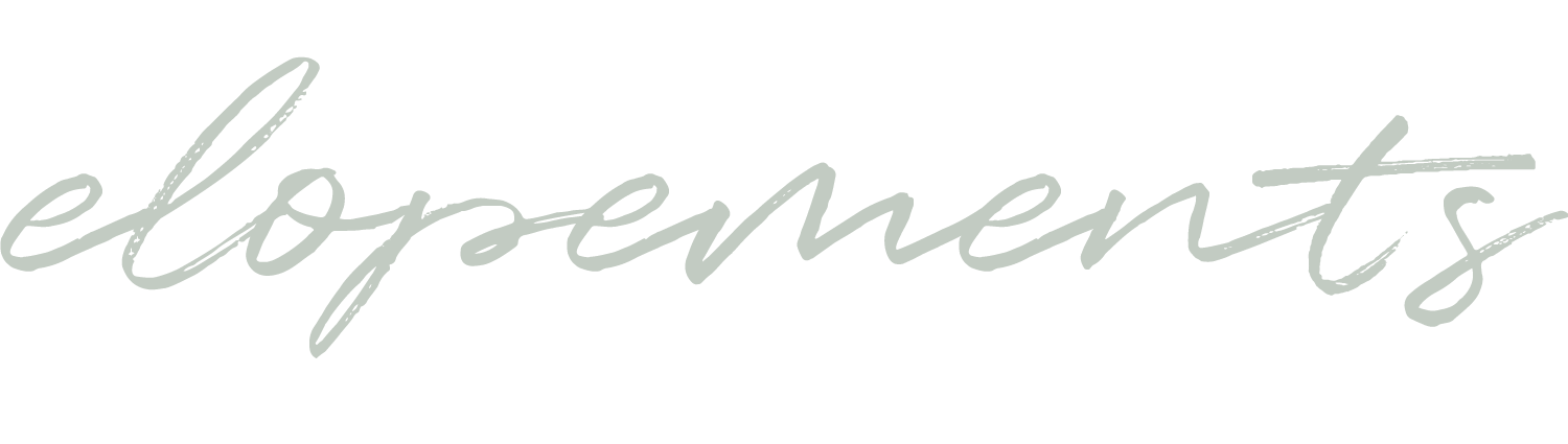 The word 'elopement' written in a stylish, cursive font on a plain background.